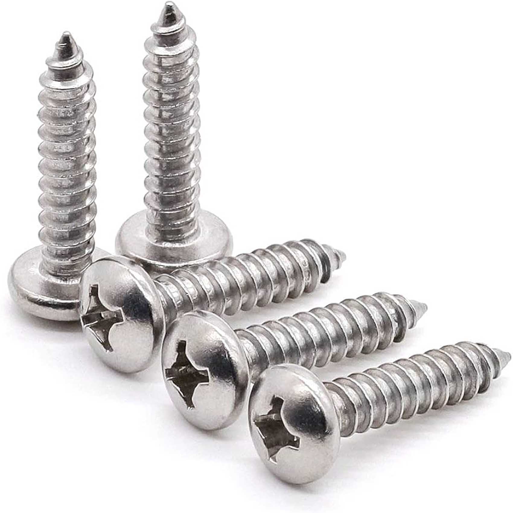 Pan Phillips Self Tapping Screws  Suppliers in Mumbai India